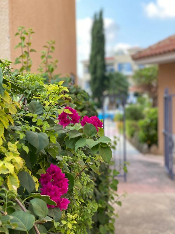 Paradise Gardens With A Large Terrace Paphos Luaran gambar