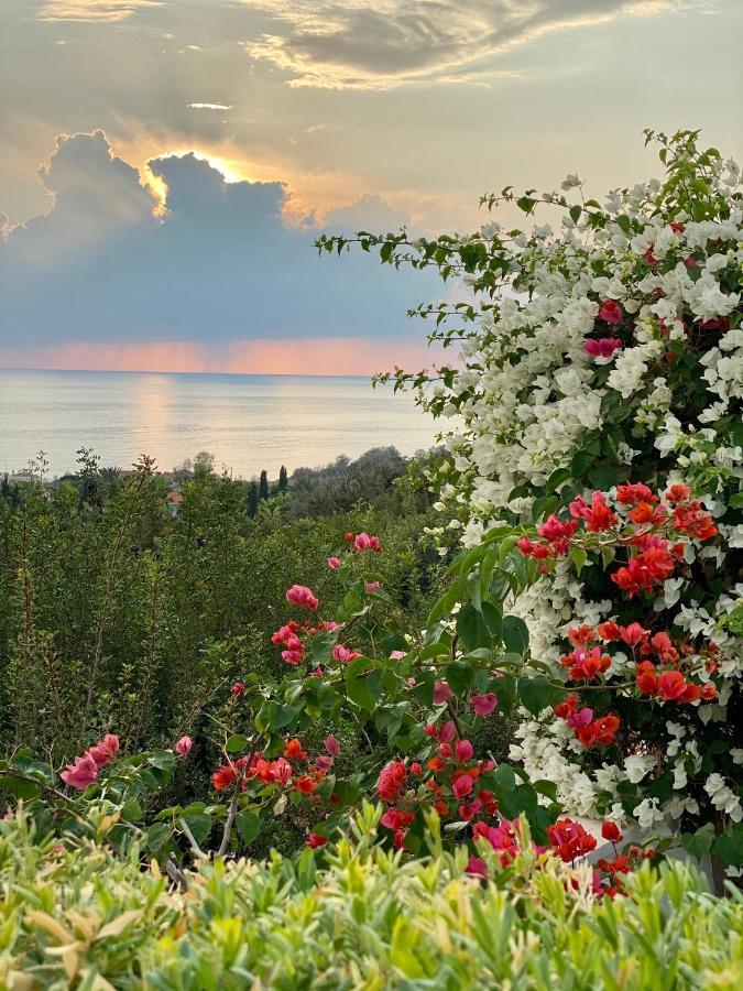 Paradise Gardens With A Large Terrace Paphos Luaran gambar