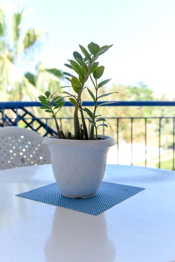 Paradise Gardens With A Large Terrace Paphos Luaran gambar